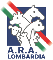 Logo Ara